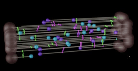 microtubule model