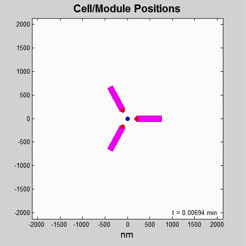 medical adhesivity gif showing cell/module positions